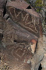 Three Rivers Petroglyphs (6107)