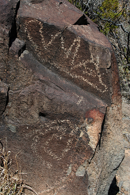 Three Rivers Petroglyphs (6107)