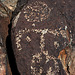 Three Rivers Petroglyphs (6111)