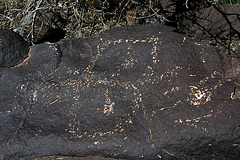 Three Rivers Petroglyphs (6112)