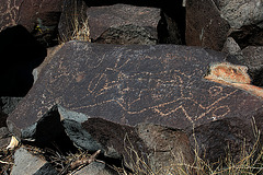 Three Rivers Petroglyphs (6115)