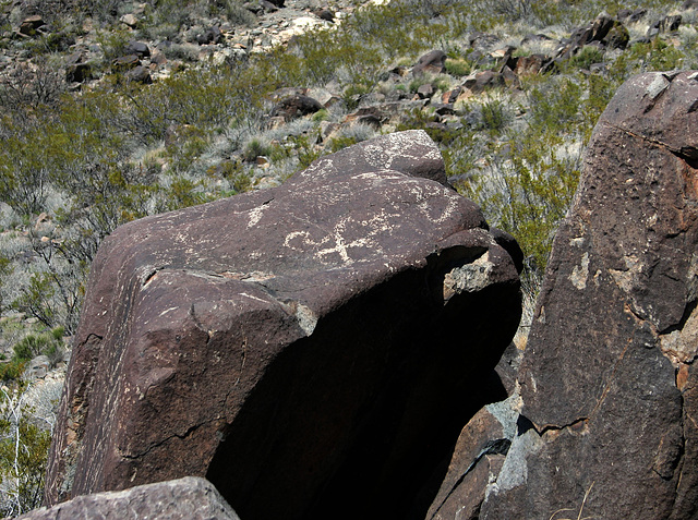 Three Rivers Petroglyphs (6117)