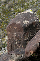 Three Rivers Petroglyphs (6118)