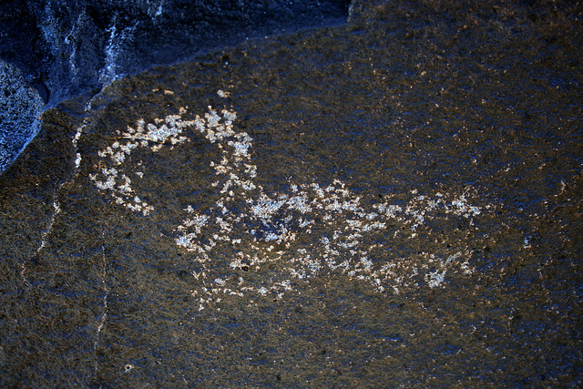 Three Rivers Petroglyphs (6120)