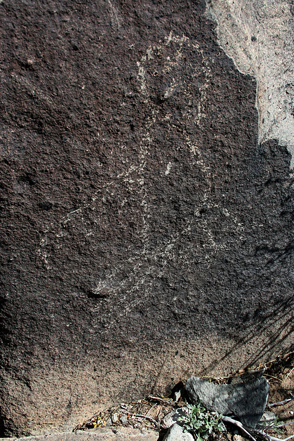 Three Rivers Petroglyphs (6123)