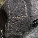 Three Rivers Petroglyphs (6124)