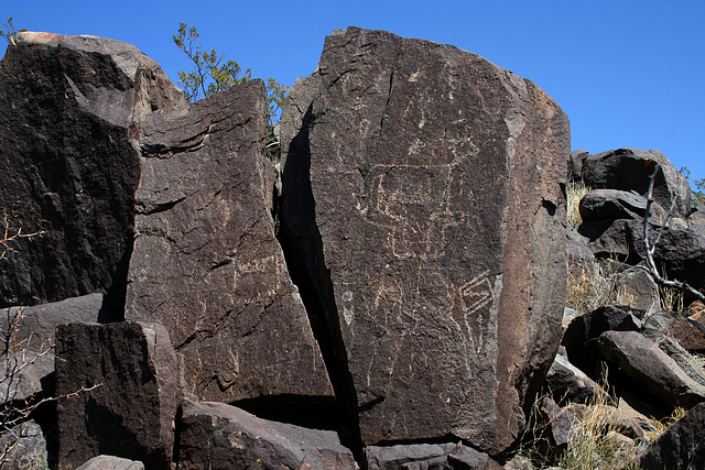 Three Rivers Petroglyphs (6125)