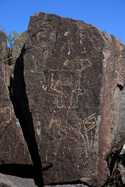 Three Rivers Petroglyphs (6126)