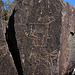 Three Rivers Petroglyphs (6126)