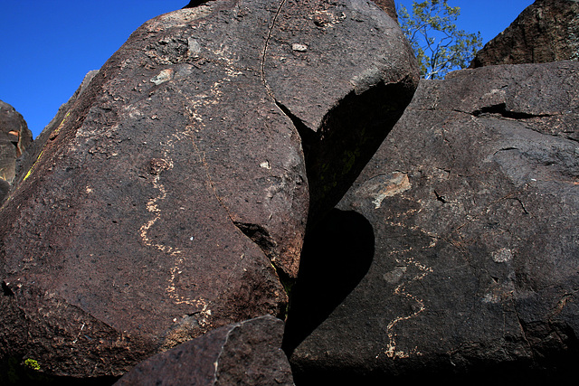 Three Rivers Petroglyphs (6129)