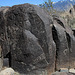 Three Rivers Petroglyphs (6131)