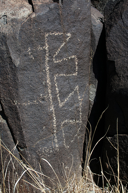 Three Rivers Petroglyphs (6134)