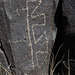 Three Rivers Petroglyphs (6134)