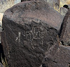 Three Rivers Petroglyphs (6135)