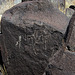 Three Rivers Petroglyphs (6135)