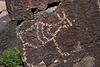 Three Rivers Petroglyphs (6138)