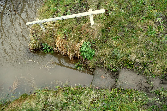 Hochwasser - 8.3.2009