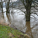 Hochwasser - 8.3.2009