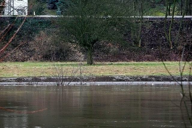 Hochwasser - 8.3.2009