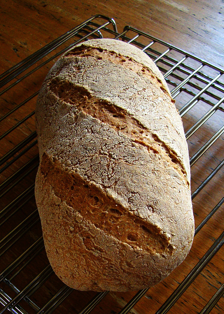 Nachgebacken: (Volkorn-)Zürcherbrot