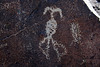 Three Rivers Petroglyphs (6143)