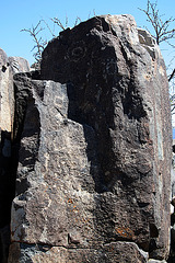 Three Rivers Petroglyphs (6153)