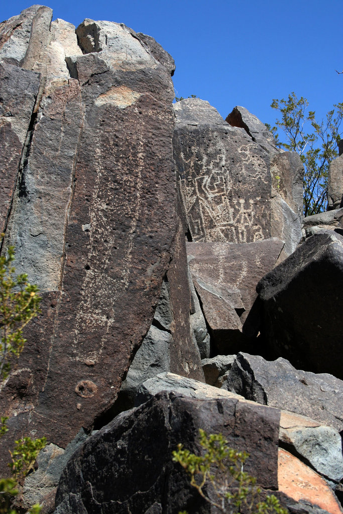 Three Rivers Petroglyphs (6154)