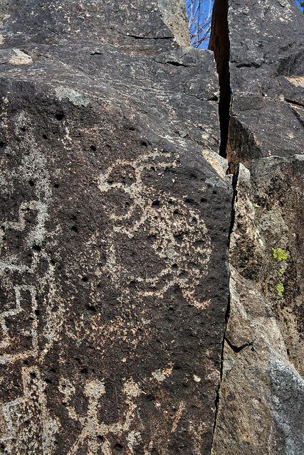 Three Rivers Petroglyphs (6158)