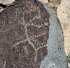 Three Rivers Petroglyphs (6161)