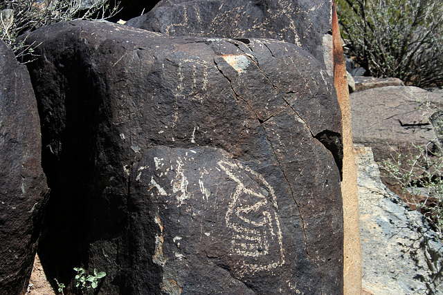 Three Rivers Petroglyphs (6163)