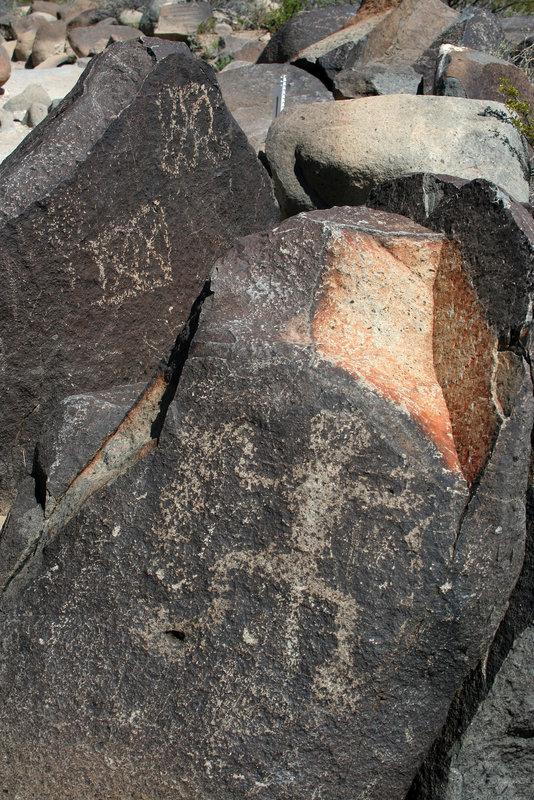 Three Rivers Petroglyphs (6171)