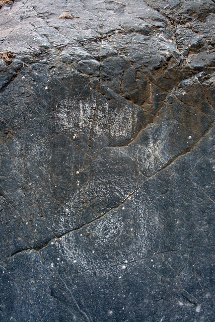 Marble Canyon - Graffiti (4643)