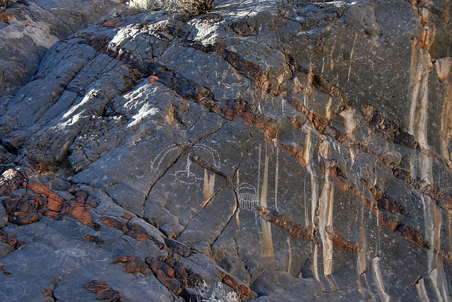 Marble Canyon - Petroglyphs (4693)