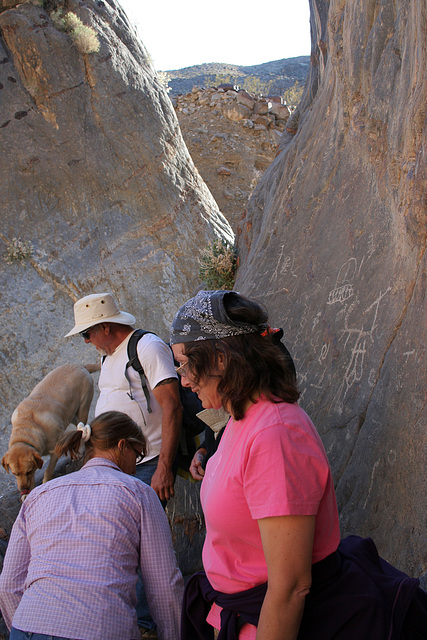 Marble Canyon - Petroglyphs (4694)