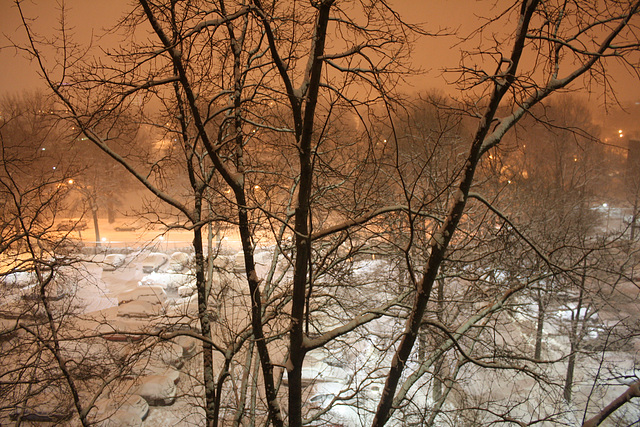 03.WhiteOut.Night.RiverPark.SW.WDC.9February2010