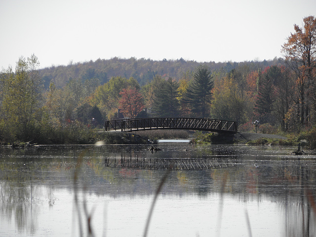 le petit pont