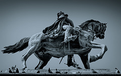 high rider with birds