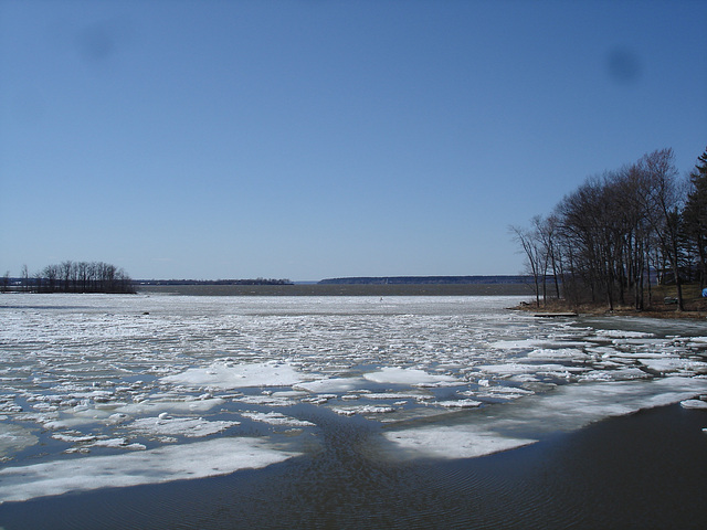 Île cadieux / Cadieux island -  Qc. Canada.  24 mars 2010