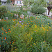 L.A. Garden Tour (6252)