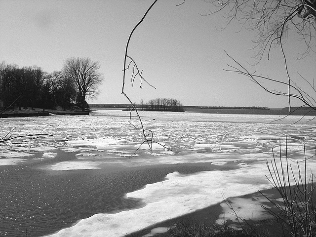 Île cadieux / Cadieux island -  Qc. Canada.  24 mars 2010-  N & B