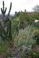 L.A. Garden Tour (6263)