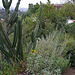 L.A. Garden Tour (6263)