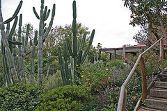 L.A. Garden Tour (6265)