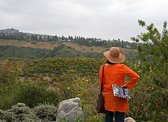 L.A. Garden Tour - Laurel Canyon (6281)