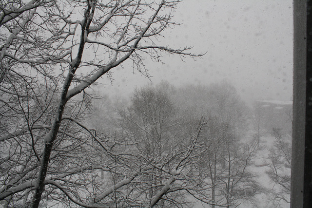 03.WhiteOut.Day.RiverPark.SW.WDC.10February2010