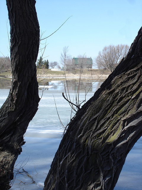 Place Léveillé / Ste-Martine Qc, CANADA.  16 mars 2010  - Photo originale