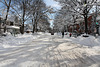 02.DayAfterSnowBlizzard.N4M.SW.WDC.7February2010