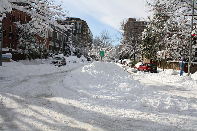 04.DayAfterSnowBlizzard.N4M.SW.WDC.7February2010