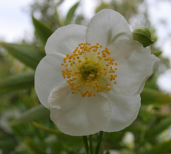 L.A. Garden Tour (6296)