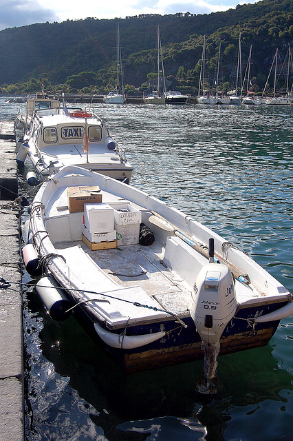 motorboato kaj akvotaksio - Motorboot und Wassertaxi